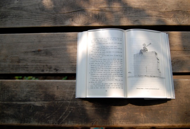 Skull on book アクリル原画 全国送料無料ギフト Skull on アクリル原画 book 絵画 - 絵画